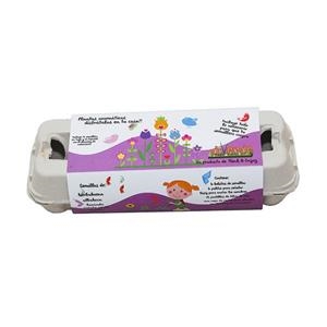 SEMILLERO DIVERDE PLANTAS AROMÁTICAS | 6901112002026 | THINK ENJOY | Llibreria La Gralla | Llibreria online de Granollers