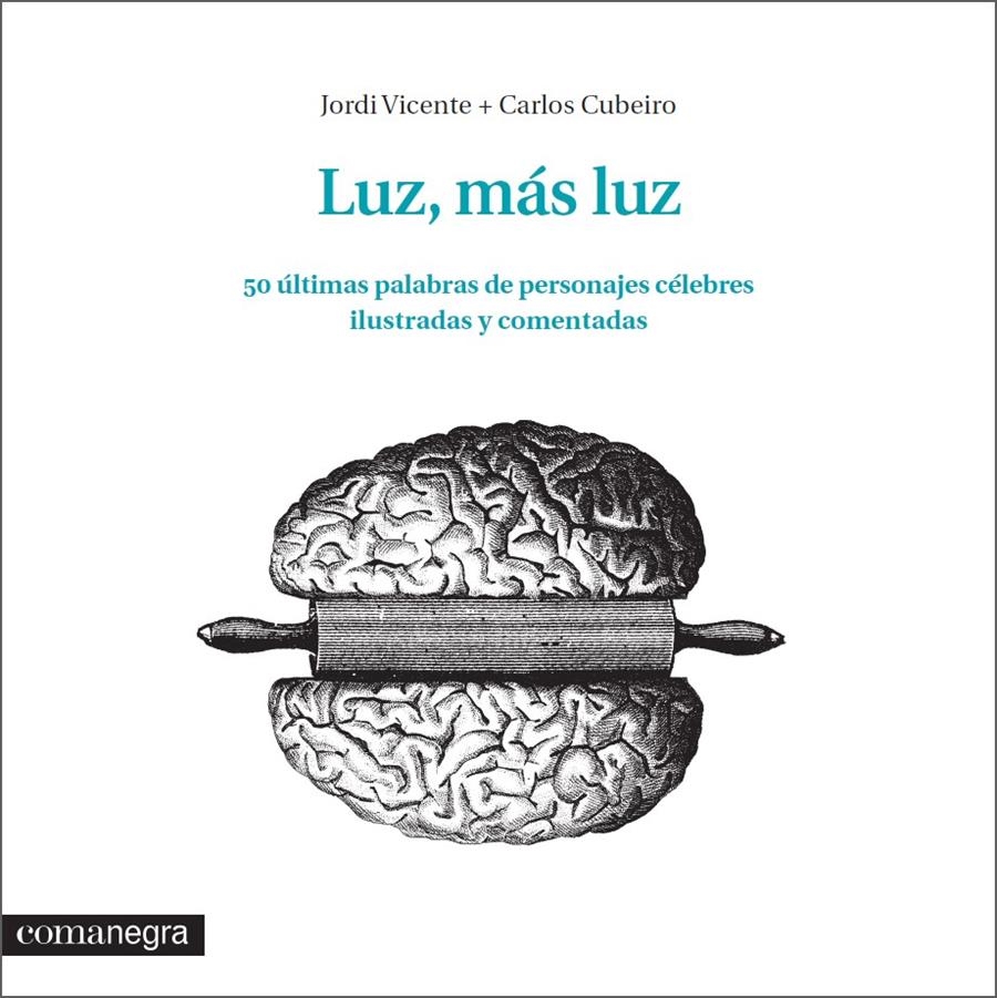 LUZ, MÁS LUZ | 9788416033348 | VICENTE RÓDENAS, JORDI/DÍAZ CUBEIRO, CARLOS | Llibreria La Gralla | Librería online de Granollers