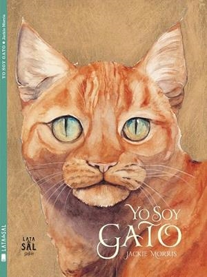 YO SOY GATO | 9788494245145 | MORRIS, JACKIE | Llibreria La Gralla | Librería online de Granollers