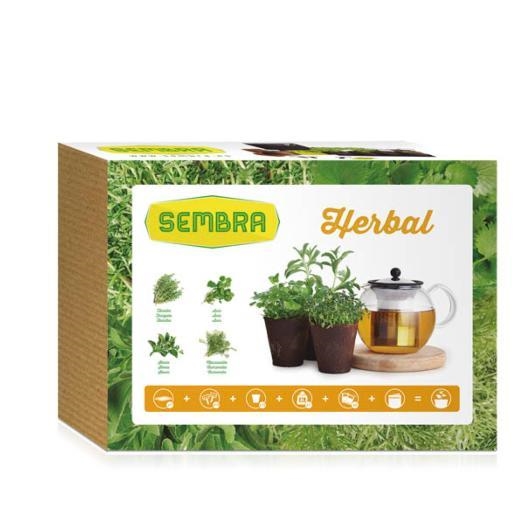 KIT SEMBRA HERBES AROMÀTIQUES | 8410579008307 | SEMBRA | Llibreria La Gralla | Llibreria online de Granollers