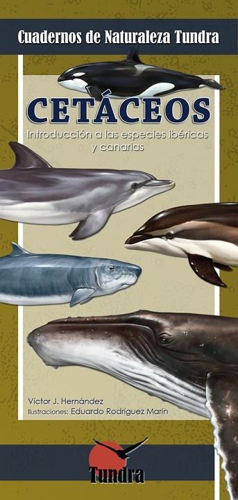 CETACEOS | 9788494311208 | HERNANDEZ, VICTOR J | Llibreria La Gralla | Librería online de Granollers