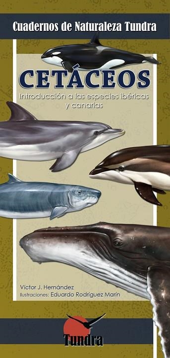 CETACEOS | 9788494311208 | HERNANDEZ, VICTOR J | Llibreria La Gralla | Llibreria online de Granollers