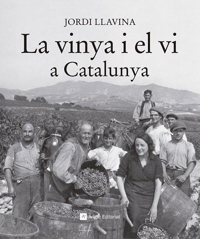 VINYA I EL VI A CATALUNYA, LA | 9788416139187 | LLAVINA, JORDI | Llibreria La Gralla | Librería online de Granollers