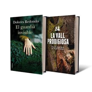 GUARDIÀ INVISIBLE, EL (ED. ESPECIAL) | 9788466419154 | REDONDO, DOLORES | Llibreria La Gralla | Llibreria online de Granollers