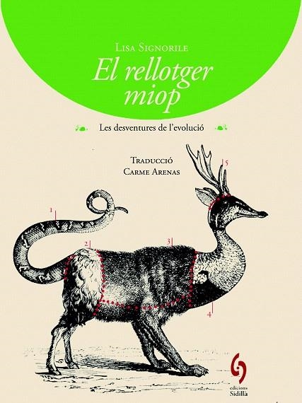 RELLOTGER MIOP, EL | 9788494256424 | SIGNORILE, LISA | Llibreria La Gralla | Librería online de Granollers