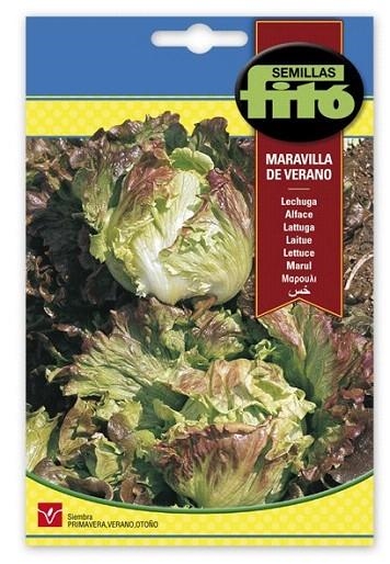 LECHUGA MARAVILLA DE VERANO. SOBRE DE SEMILLAS FITÓ | 8410579902087 | SEMILLAS FITÓ | Llibreria La Gralla | Llibreria online de Granollers