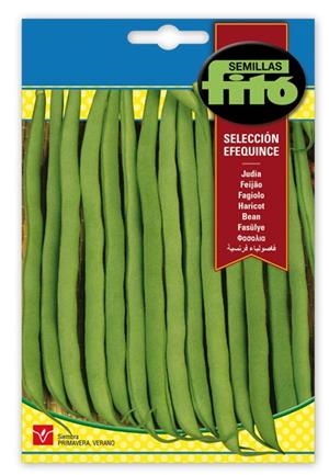 JUDÍA SELECCIÓN EFEQUINCE. SOBRE DE SEMILLAS FITÓ | 8410579901592 | SEMILLAS FITÓ | Llibreria La Gralla | Llibreria online de Granollers