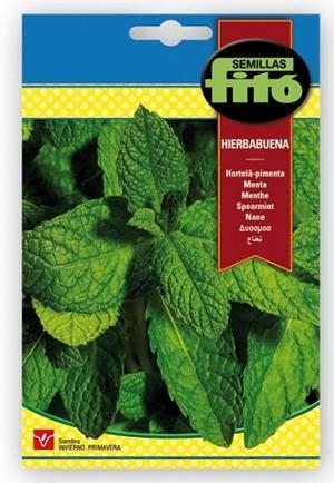 HIERBABUENA. SOBRE DE SEMILLAS FITÓ | 8410579006723 | SEMILLAS FITÓ | Llibreria La Gralla | Llibreria online de Granollers