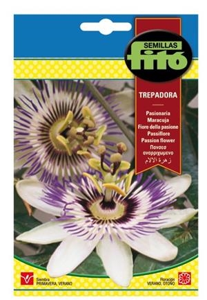 PASIONARIA TREPADORA. SOBRE DE SEMILLAS FITÓ | 8410579906245 | SEMILLAS FITÓ | Llibreria La Gralla | Llibreria online de Granollers