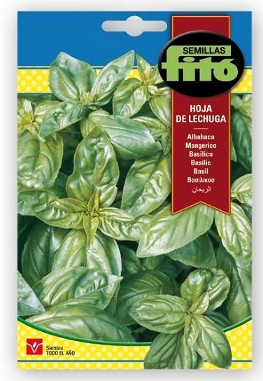 ALBAHACA HOJA DE LECHUGA. SOBRE DE SEMILLAS FITÓ | 8410579003746 | SEMILLAS FITÓ | Llibreria La Gralla | Librería online de Granollers