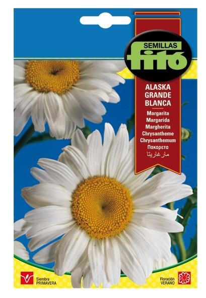 MARGARITA ALASKA GRANDE BLANCA | 8410579905774 | SEMILLAS FITÓ | Llibreria La Gralla | Librería online de Granollers