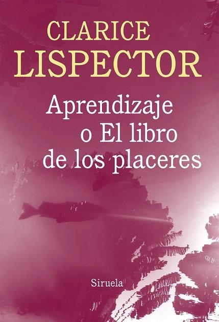 APRENDIZAJE O EL LIBRO DE LOS PLACERES | 9788416280100 | LISPECTOR, CLARICE | Llibreria La Gralla | Llibreria online de Granollers