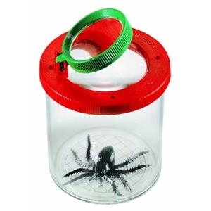 VISOR D'INSECTES | 8006944802016 | VV.AA | Llibreria La Gralla | Llibreria online de Granollers
