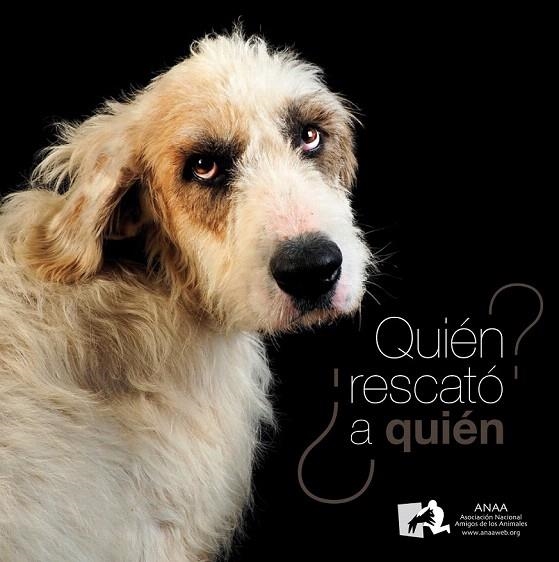 QUIÉN RESCATÓ A QUIÉN? | 9788494326448 | ASOCIACIÓN ANAA | Llibreria La Gralla | Llibreria online de Granollers