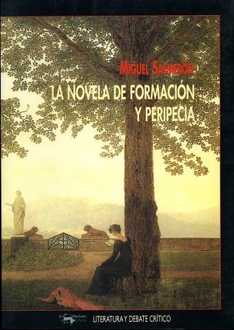 NOVELA DE FORMACION Y PERIPECIA, LA | 9788477747307 | SALMERON, MIGUEL | Llibreria La Gralla | Llibreria online de Granollers