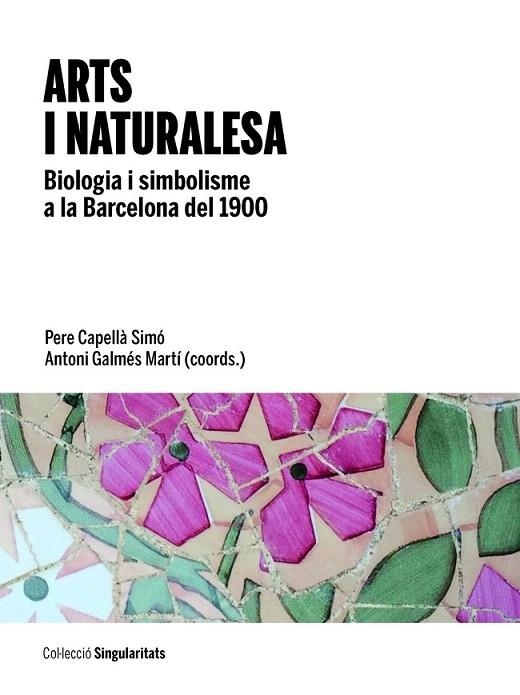 ARTS I NATURALESA | 9788447538751 | CAPELLA SIMÓ, PERE / GALMÉS MARTÍ, ANTONI (COORD.) | Llibreria La Gralla | Librería online de Granollers