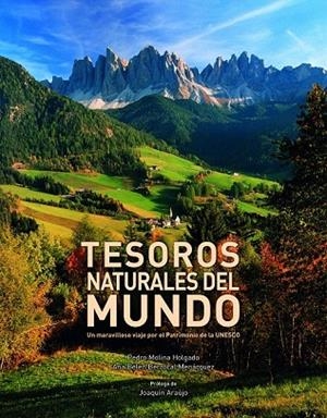 TESOROS NATURALES DEL MUNDO | 9788416177264 | MOLINA HOLGADO, PEDRO / BERROCAL MENARGUEZ, ANA BELÉN | Llibreria La Gralla | Librería online de Granollers