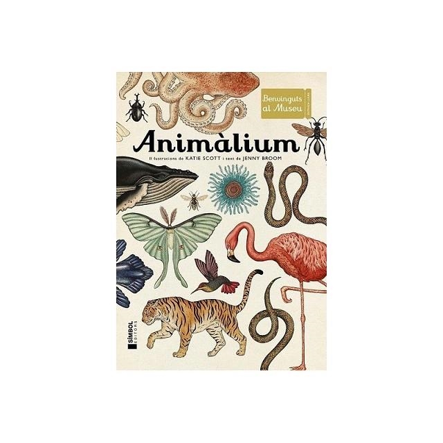 ANIMALIUM. BENVINGUTS AL MUSEU | 9788415315223 | BROOM, JENNY / SCOTT, KATIE | Llibreria La Gralla | Librería online de Granollers