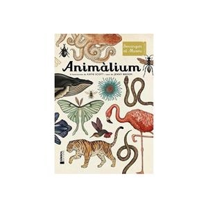 ANIMALIUM. BENVINGUTS AL MUSEU | 9788415315223 | BROOM, JENNY / SCOTT, KATIE | Llibreria La Gralla | Librería online de Granollers