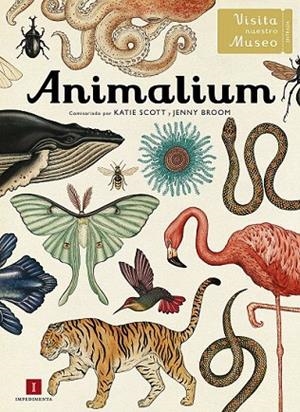 ANIMALIUM. VISITA NUESTRO MUSEO | 9788415979463 | SCOTT, KATIE / BROOM, JENNY | Llibreria La Gralla | Llibreria online de Granollers