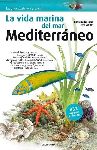 VIDA MARINA DEL MAR MEDITERRÁNEO, LA | 9788415885269 | BALLESTEROS SAGARRA, ENRIC | Llibreria La Gralla | Librería online de Granollers