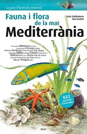 FAUNA I FLORA DE LA MAR MEDITERRÀNIA | 9788415885252 | BALLESTEROS SAGARRA, ENRIC | Llibreria La Gralla | Librería online de Granollers