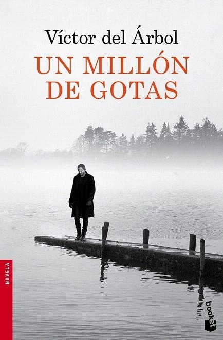 MILLÓN DE GOTAS, UN (BOLSILLO) | 9788423349418 | DEL ARBOL, VICTOR  | Llibreria La Gralla | Librería online de Granollers