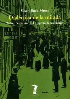 DIALECTICA DE LA MIREDA | 9788477745792 | BUCK-MORSS | Llibreria La Gralla | Librería online de Granollers