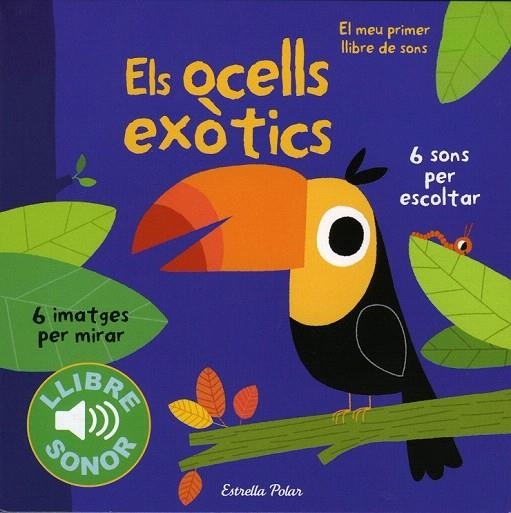 OCELLS EXOTICS, ELS | 9788490571811 | MARION BILLET | Llibreria La Gralla | Librería online de Granollers