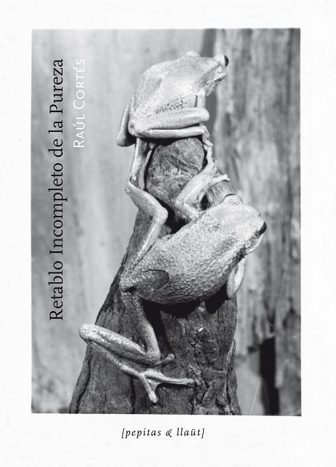 RETABLO INCOMPLETO DE LA PUREZA | 9788415862369 | CORTÉS, RAÚL | Llibreria La Gralla | Librería online de Granollers