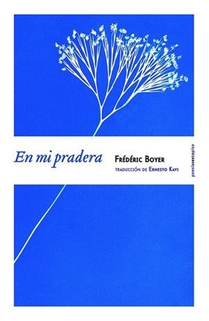 EN MI PRADERA (BILINGÜE) | 9788416358038 | BOYER, FRÉDÉRIC | Llibreria La Gralla | Librería online de Granollers