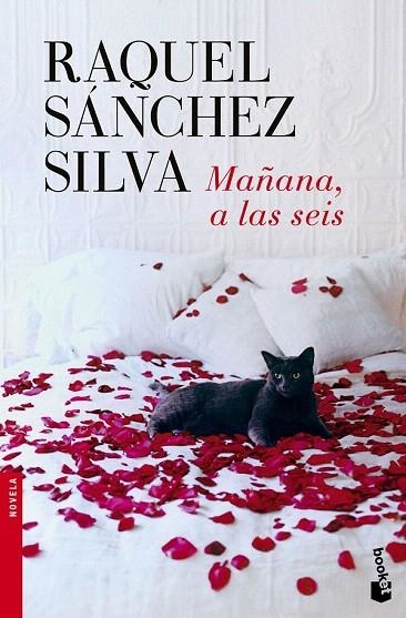 MAÑANA A LAS SEIS (BOLSILLO) | 9788408140498 | SÁNCHEZ SILVA, RAQUEL | Llibreria La Gralla | Librería online de Granollers