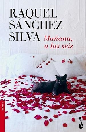 MAÑANA A LAS SEIS (BOLSILLO) | 9788408140498 | SÁNCHEZ SILVA, RAQUEL | Llibreria La Gralla | Llibreria online de Granollers