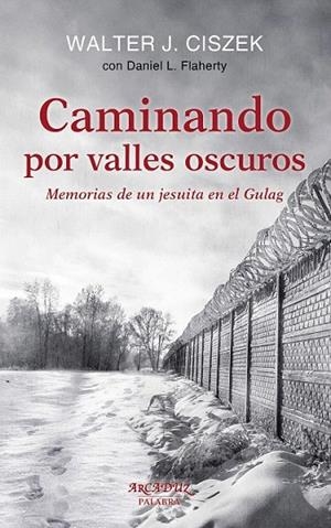 CAMINANDO POR VALLES OSCUROS | 9788490611845 | WALTER, J./ CISZEK, DANIEL | Llibreria La Gralla | Librería online de Granollers