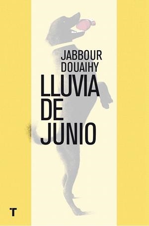 LLUVIA DE JUNIO | 9788416142651 | DOUAIHY, JABBOUR | Llibreria La Gralla | Librería online de Granollers