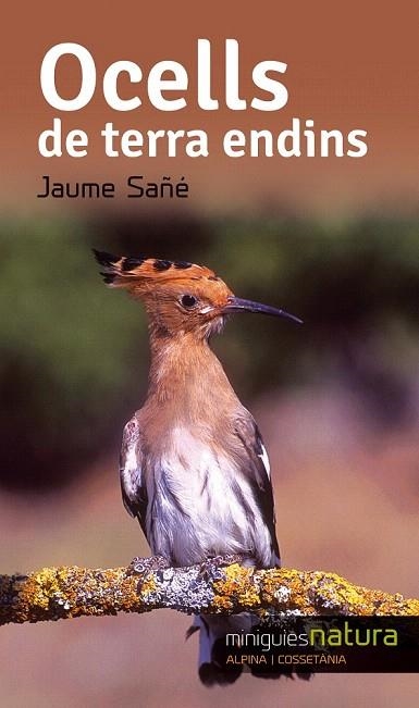 OCELLS DE TERRA ENDINS | 9788490343357 | SAÑE, JAUME | Llibreria La Gralla | Librería online de Granollers