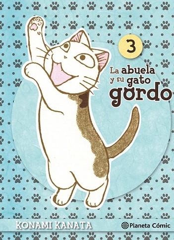 ABUELA Y SU GATO GORDO 3, LA | 9788416308101 | KANATA, KONAMI | Llibreria La Gralla | Librería online de Granollers