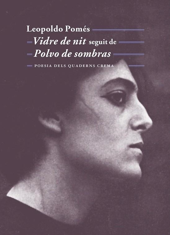VIDRE DE NIT SEGUIT DE POLVO DE SOMBRAS | 9788477275664 | POMES, LEOPOLDO | Llibreria La Gralla | Librería online de Granollers
