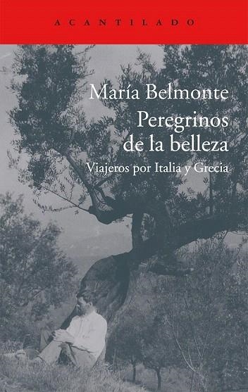 PEREGRINOS DE LA BELLEZA | 9788416011513 | BELMONTE, MARÍA | Llibreria La Gralla | Llibreria online de Granollers