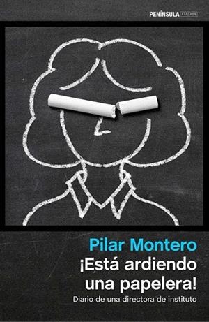ESTÁ ARDIENDO UNA PAPELERA! | 9788499424354 | MONTERO, PILAR  | Llibreria La Gralla | Llibreria online de Granollers