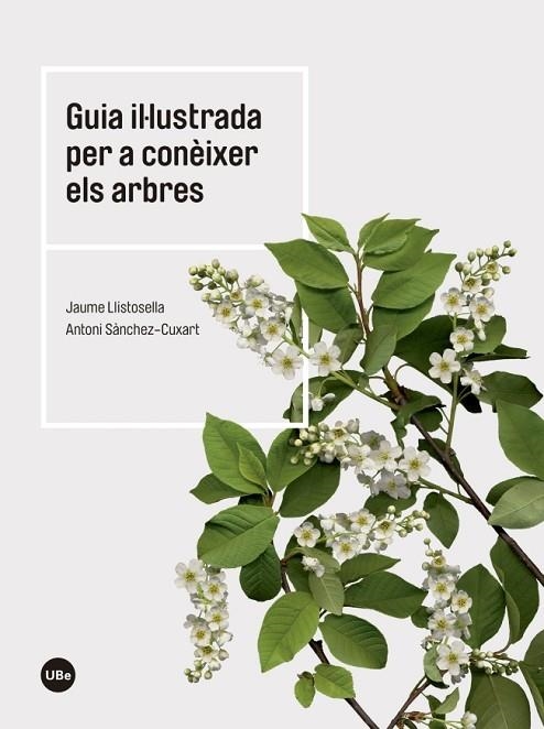 GUÍA IL·LUSTRADA PER A CONÈIXER ELS ARBRES  | 9788447542444 | LLISTOSELLA, JAUME | Llibreria La Gralla | Librería online de Granollers