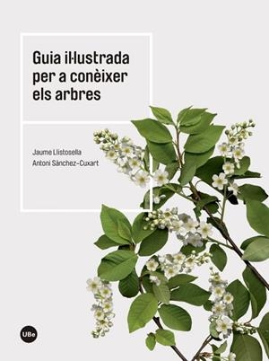 GUÍA IL·LUSTRADA PER A CONÈIXER ELS ARBRES  | 9788447542444 | LLISTOSELLA, JAUME | Llibreria La Gralla | Llibreria online de Granollers