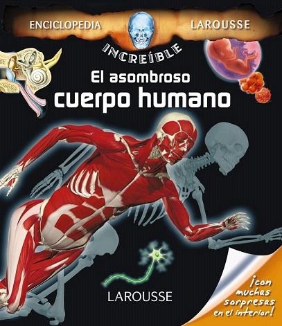 ASOMBROSO CUERPO HUMANO, EL | 9788416368112 | LAROUSSE EDITORIAL | Llibreria La Gralla | Librería online de Granollers