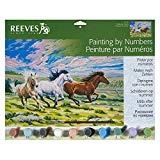 SET PINTURA-NUMEROS CAVALLS GALOPANT | 5012596915205 | Llibreria La Gralla | Llibreria online de Granollers