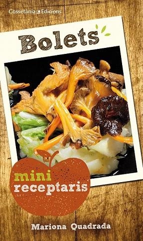 BOLETS | 9788490343616 | QUADRADA MONTEVERDE, MARIONA | Llibreria La Gralla | Librería online de Granollers