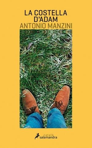 COSTELLA D'ADAM, LA | 9788416310128 | MANZINI, ANTONIO | Llibreria La Gralla | Librería online de Granollers