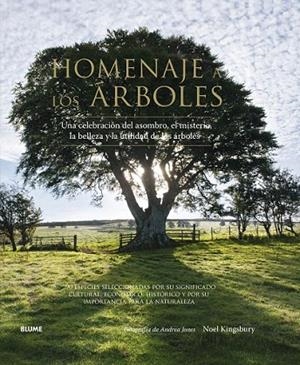 HOMENAJE A LOS ÁRBOLES | 9788416138562 | KINGSBURY, NOEL/JONES, ANDREA | Llibreria La Gralla | Llibreria online de Granollers