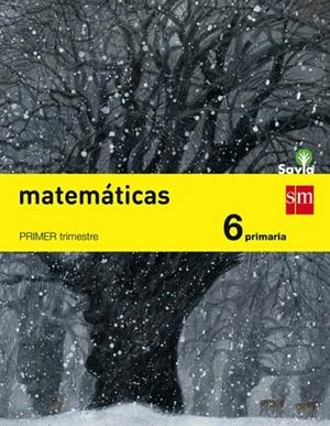 MATEMATICAS 6 PRIMARIA ANDALUCIA | 9788467575675 | GONZÁLEZ SÁNCHEZ, YOLANDA/GARÍN MUÑOZ, MERCEDES/NIETO, MIGUEL/RAMÍREZ UCLÉS, RAFAEL/BERNABEU RUIZ, J | Llibreria La Gralla | Llibreria online de Granollers
