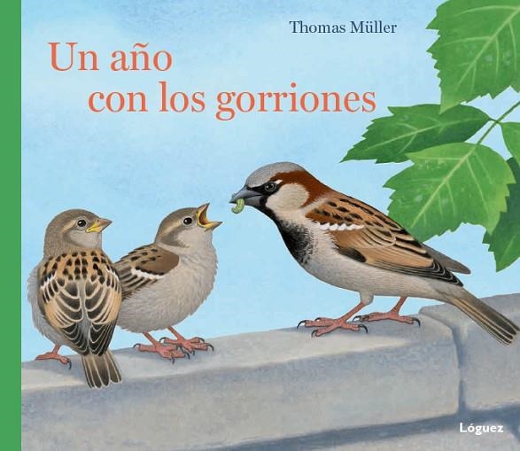 UN AÑO CON LOS GORRIONES | 9788494429507 | MULLER, THOMAS | Llibreria La Gralla | Librería online de Granollers