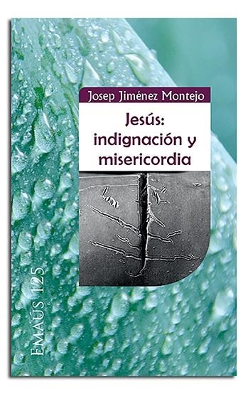 JESUS INDIGNACION Y MISERICORDIA | 9788498058581 | JIMENEZ MONTERO, JOSEP | Llibreria La Gralla | Llibreria online de Granollers